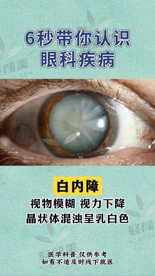 马雅玲医生的执业信息