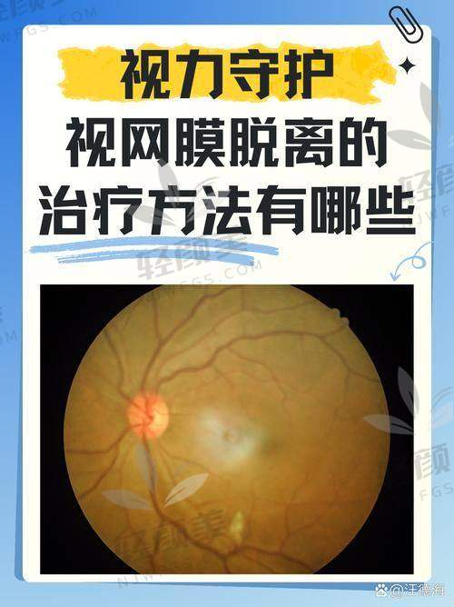 武淑玲荣誉资质