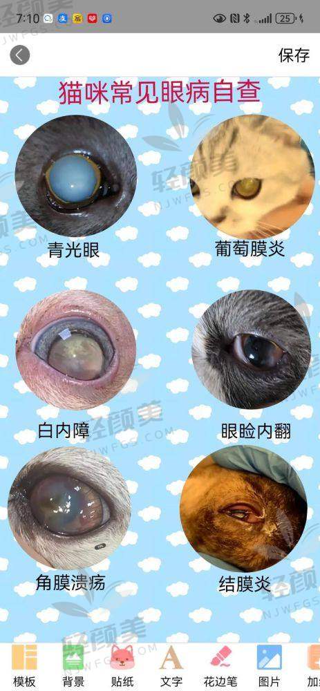 马雅玲医生擅长的项目