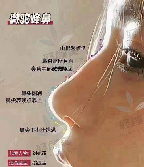 张笃林医生擅长项目