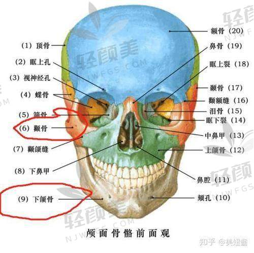 三、专精方式：影像学对比 VS 面诊解析