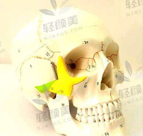 六、小红书热门可能碰到的误区，姐妹避雷必看⚠️
