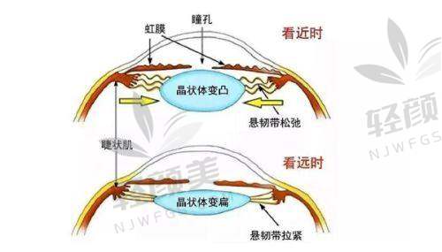 【中卫市薇悦美医疗美容医院是正规的吗】