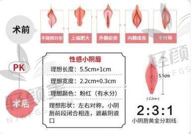 总结与建议