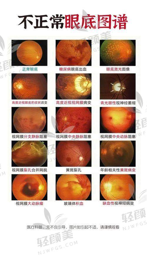医生团队精干，专攻重点病种