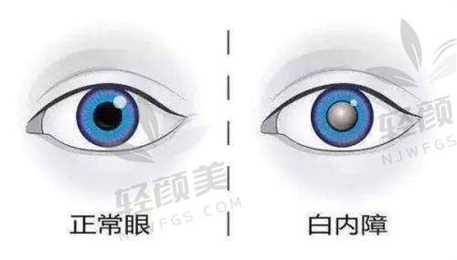刘国伟医生荣誉资质