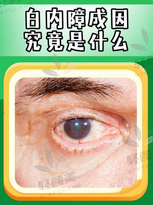刘国伟医生简介