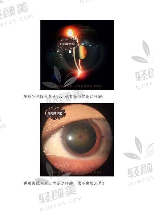 穆璀平医生简介