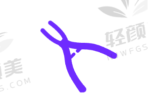 震惊！拔完牙后牙槽骨会重新长出来吗？揭秘拔牙后牙槽骨的神奇再生奥秘