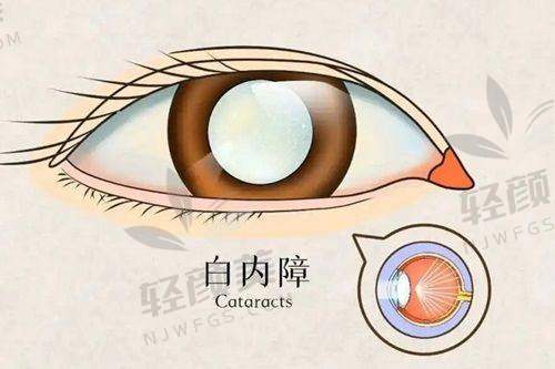刘枫芸医生执业信息