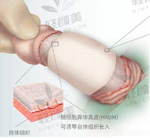【西宁现代医院医疗美容科电话号码是多少】