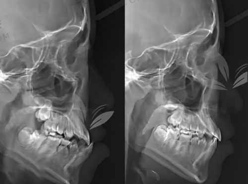 【吴忠市利通区洁雅口腔门诊部电话号码是多少】