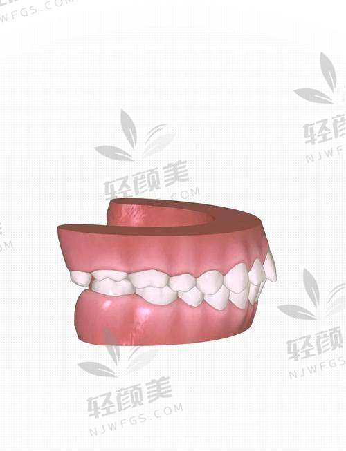 四、不同人群怎么选套餐？一份人设一份价位，别乱选！