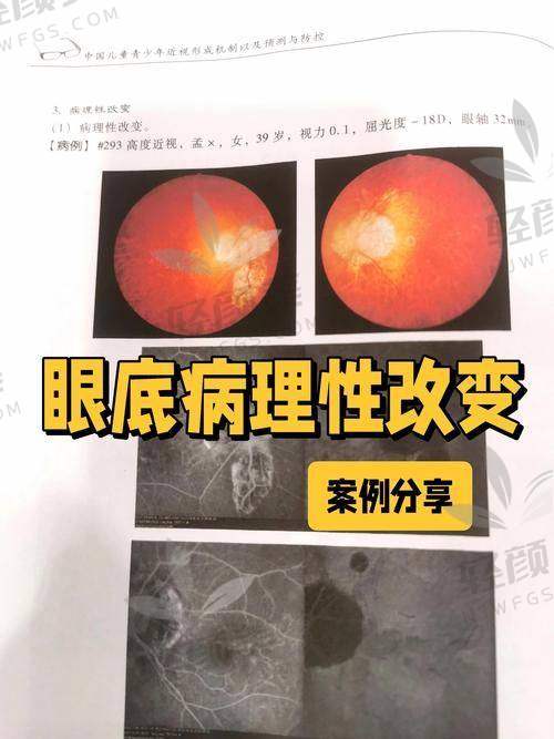 执业资质与团队实力