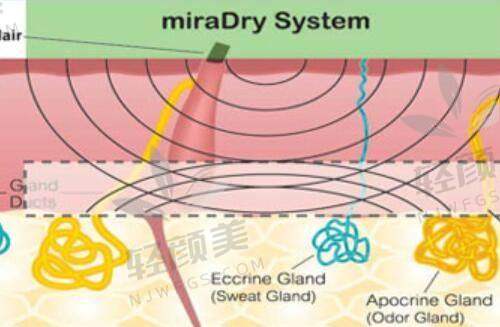 【兰州丝禾医疗美容医院是私立还是公办】