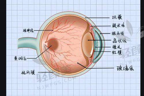 【甘肃爱尔眼视光医院(七里河院区)是正规的吗】