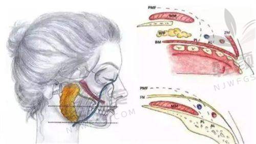 【兰州丝禾医疗美容医院擅长什么项目】