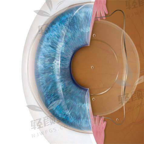 高阶选手登场!MF30全程抗打的视觉体验