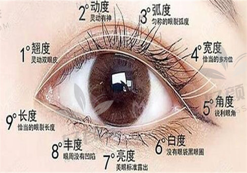 我花3800元起找新疆威兹曼刘丽娜做埋线双眼皮，效果绝了，这价格太值！