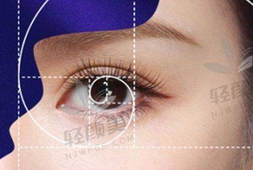 四、自体脂肪项目全攻略：瑞丽2026全脸/填充项目价格表