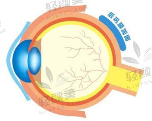 【武威市人民医院眼科擅长什么项目】