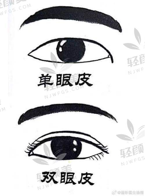 三、吸脂塑形联动专区：2026年全线吸脂项目收费详细表