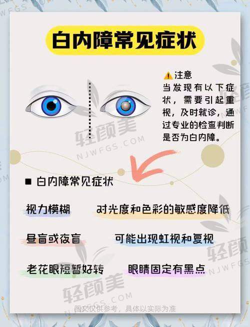 宋晓珍医生擅长项目